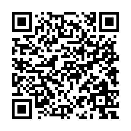QR code for ZI453