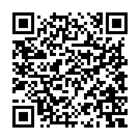 QR code for ZI497