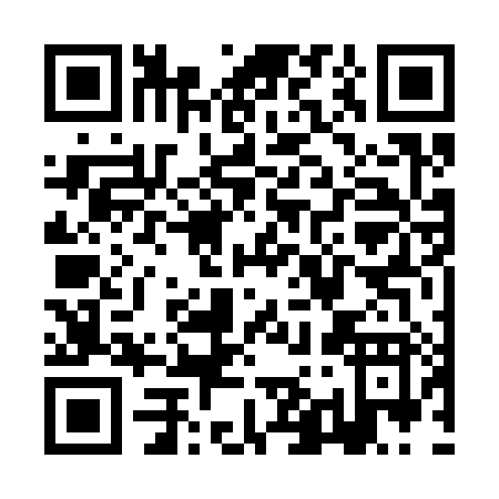QR code for ZI638
