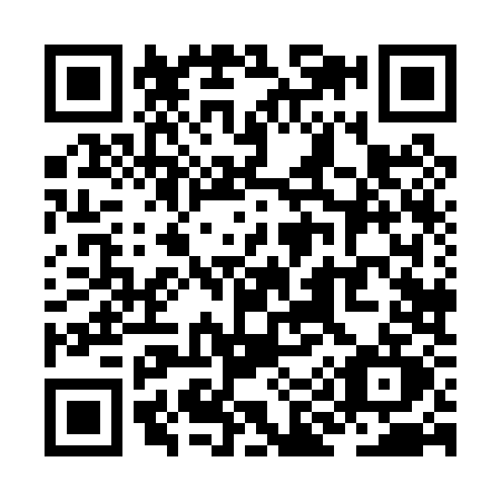 QR code for ZI80