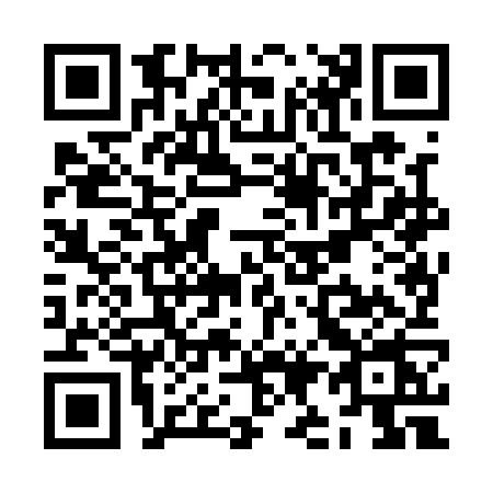 QR code for ZI81