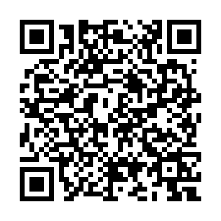 QR code for ZI86