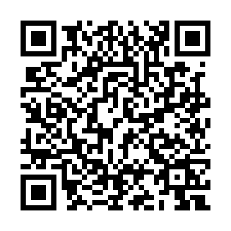 QR code for ZJ11