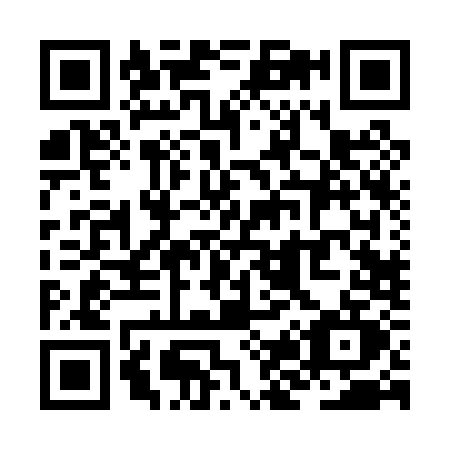 QR code for ZJ20