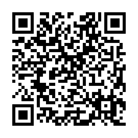 QR code for ZJ382