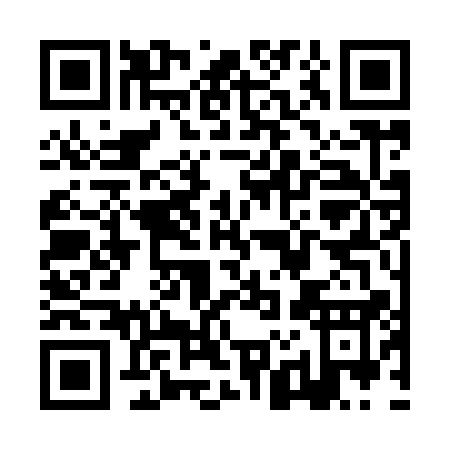 QR code for ZJ391