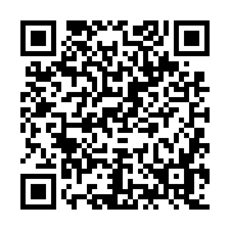 QR code for ZJ46