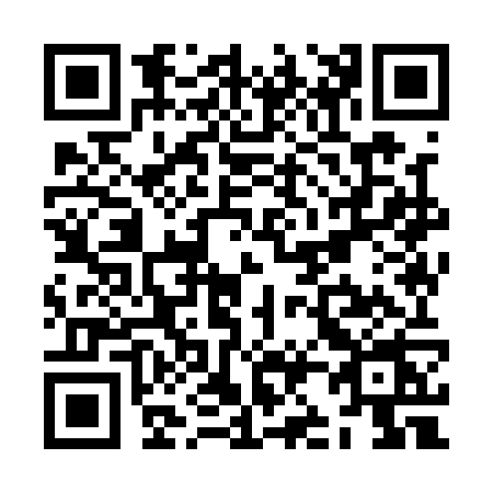 QR code for ZJ91