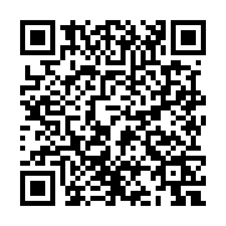 QR code for ZJ95