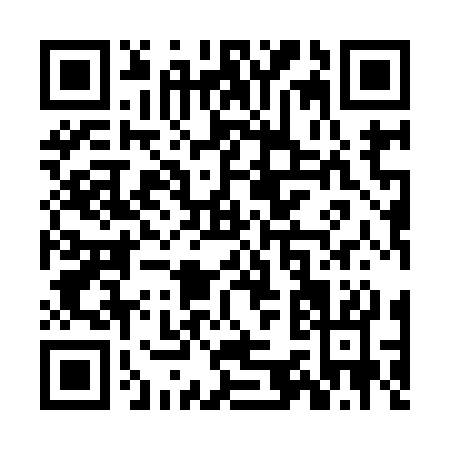 QR code for ZK993