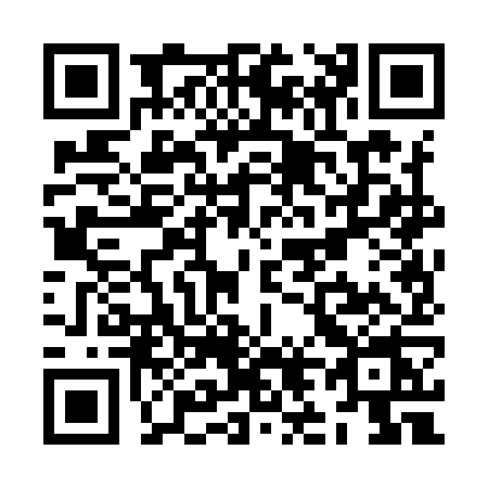QR code for ZL09