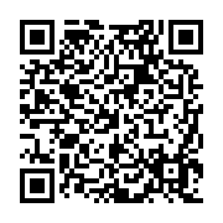 QR code for ZL294