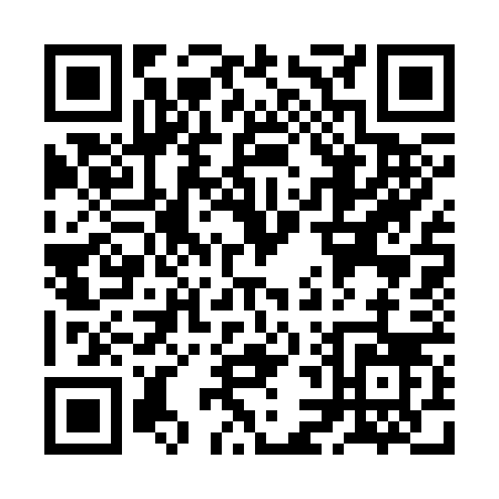 QR code for ZL336