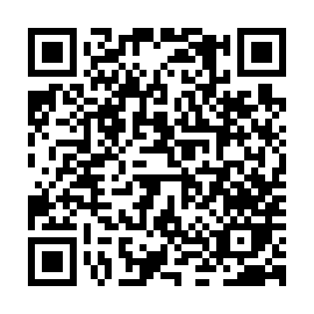 QR code for ZL368