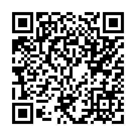 QR code for ZL382