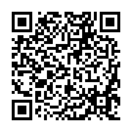 QR code for ZL395