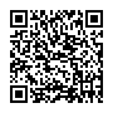 QR code for ZL401