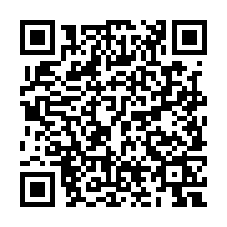 QR code for ZL41