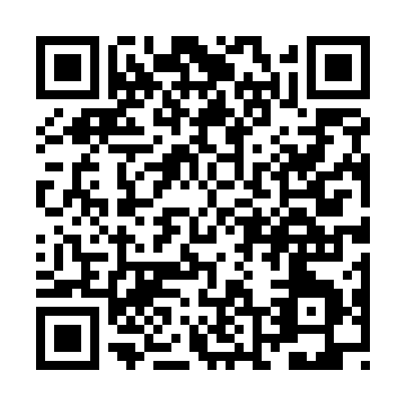 QR code for ZL451