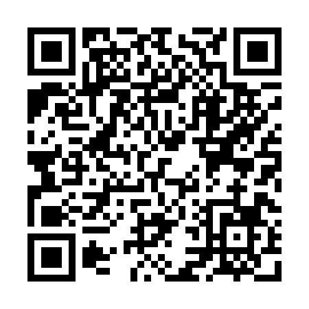 QR code for ZL818