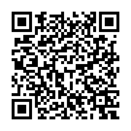 QR code for ZL91