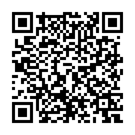 QR code for ZL95
