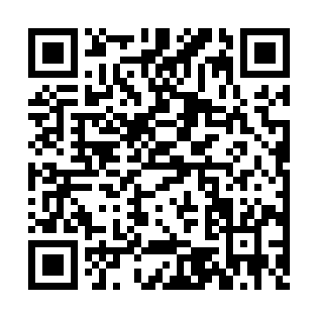 QR code for ZM209