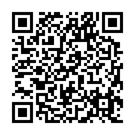 QR code for ZN333