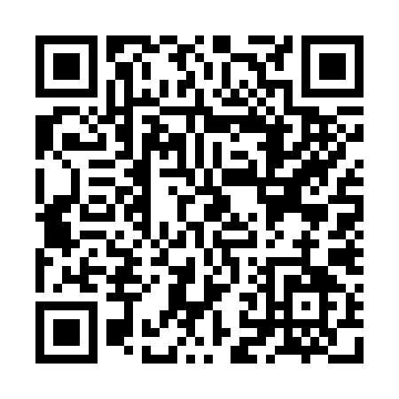 QR code for ZN739
