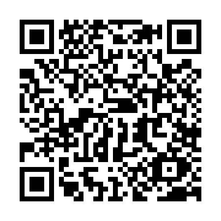 QR code for ZN85