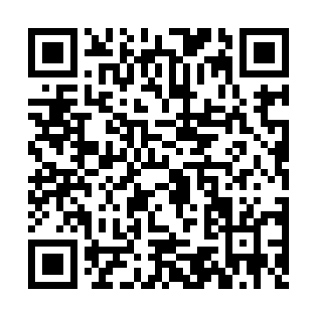 QR code for ZO595