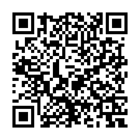 QR code for ZO95