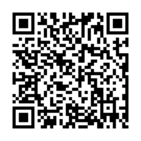 QR code for ZP216