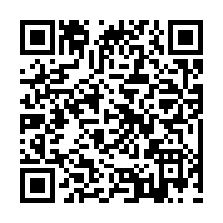 QR code for ZP238