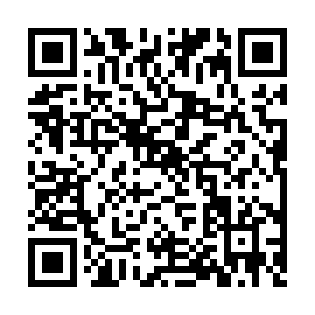 QR code for ZP308