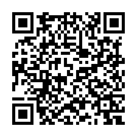 QR code for ZP38