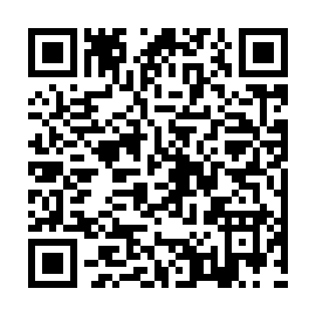 QR code for ZP399