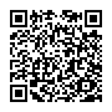 QR code for ZP46