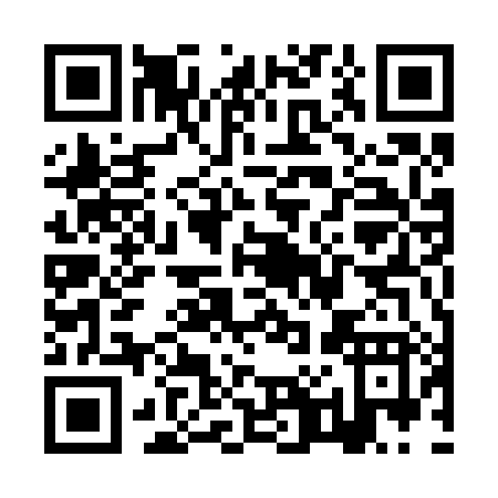 QR code for ZP528