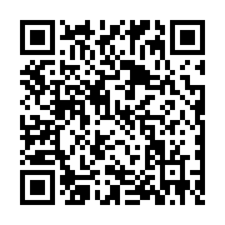 QR code for ZP666