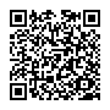QR code for ZP91