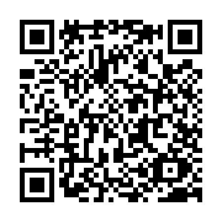 QR code for ZP95