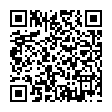 QR code for ZQ539