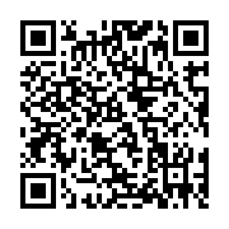 QR code for ZR993