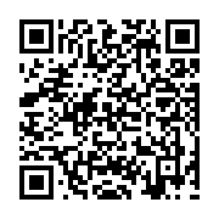 QR code for ZT13