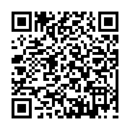 QR code for ZT228