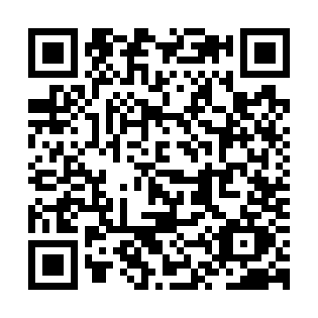 QR code for ZT37