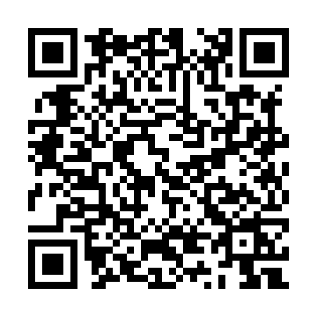 QR code for ZT38