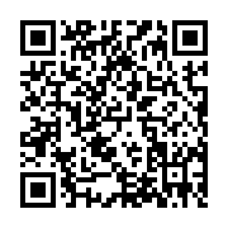 QR code for ZT419