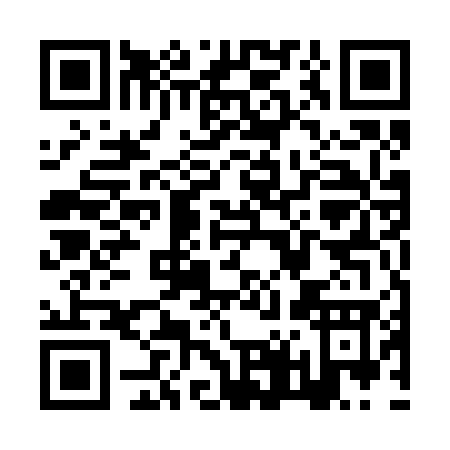 QR code for ZT527